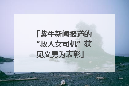 紫牛新闻报道的“救人女司机”获见义勇为表彰