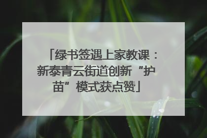绿书签遇上家教课：新泰青云街道创新“护苗”模式获点赞