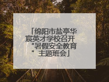 绵阳市盐亭华宸英才学校召开“暑假安全教育”主题班会
