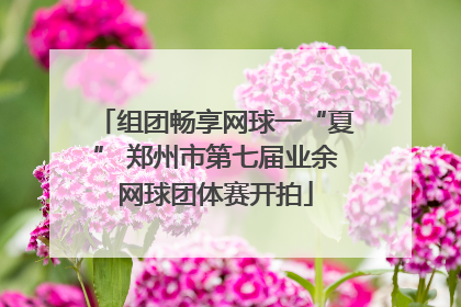 组团畅享网球一“夏” 郑州市第七届业余网球团体赛开拍