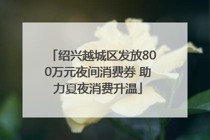 绍兴越城区发放800万元夜间消费券 助力夏夜消费升温
