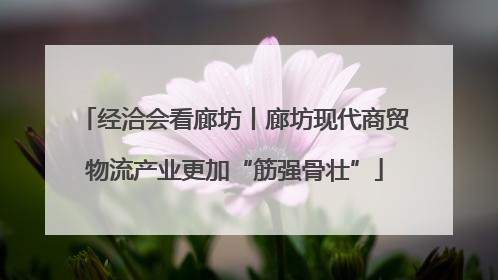 经洽会看廊坊丨廊坊现代商贸物流产业更加“筋强骨壮”