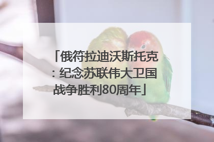 俄符拉迪沃斯托克：纪念苏联伟大卫国战争胜利80周年