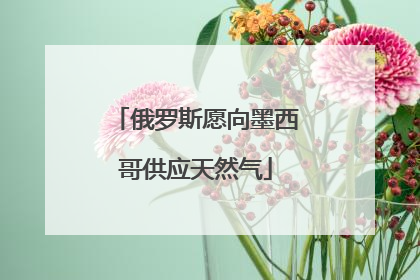 俄罗斯愿向墨西哥供应天然气