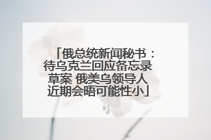 俄总统新闻秘书：待乌克兰回应备忘录草案 俄美乌领导人近期会晤可能性小