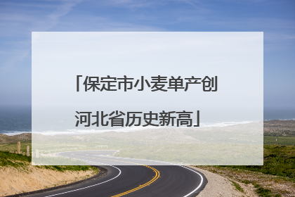 保定市小麦单产创河北省历史新高