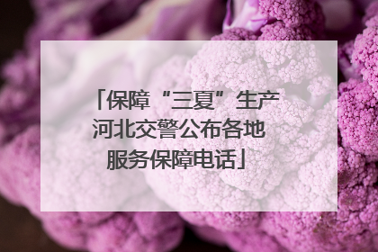 保障“三夏”生产 河北交警公布各地服务保障电话