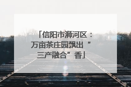 信阳市浉河区：万亩茶庄园飘出“三产融合”香
