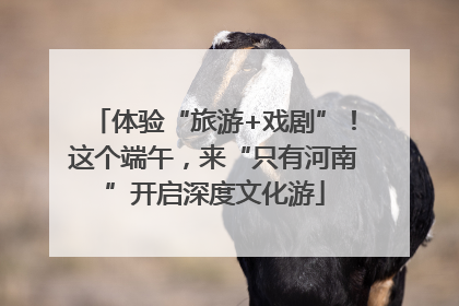 体验“旅游+戏剧”！这个端午，来“只有河南”开启深度文化游