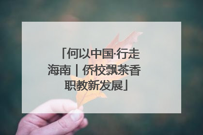 何以中国·行走海南｜侨校飘茶香 职教新发展