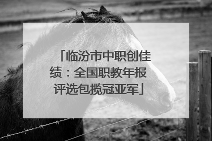 临汾市中职创佳绩：全国职教年报评选包揽冠亚军