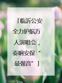 临沂公安全力护航万人演唱会，奏响安保“最强音”