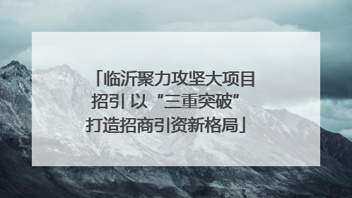 临沂聚力攻坚大项目招引 以“三重突破”打造招商引资新格局