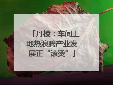 丹棱：车间工地热浪腾产业发展正“滚烫”