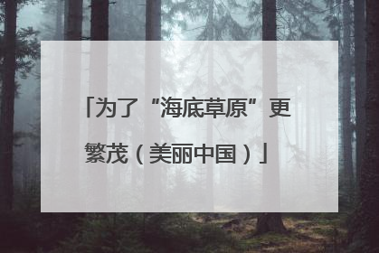为了“海底草原”更繁茂（美丽中国）