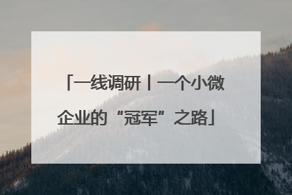 一线调研丨一个小微企业的“冠军”之路