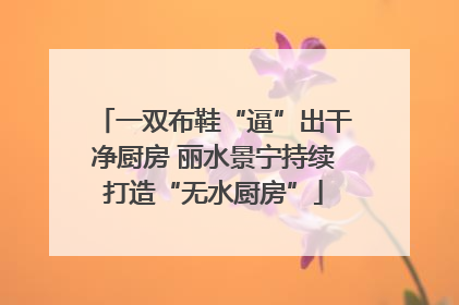 一双布鞋“逼”出干净厨房 丽水景宁持续打造“无水厨房”
