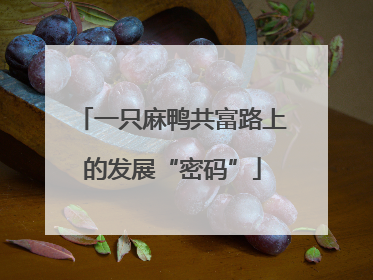 一只麻鸭共富路上的发展“密码”