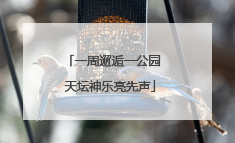 一周邂逅一公园 天坛神乐亮先声