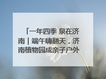 一年四季 泉在济南｜端午嗨翻天，济南植物园成亲子户外热门打卡地