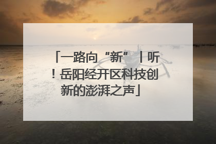 一路向“新”丨听！岳阳经开区科技创新的澎湃之声