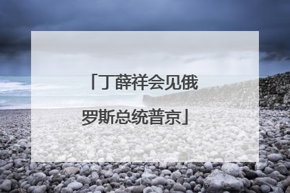 丁薛祥会见俄罗斯总统普京