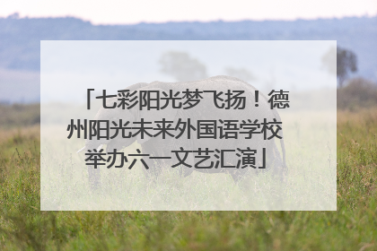 七彩阳光梦飞扬！德州阳光未来外国语学校举办六一文艺汇演
