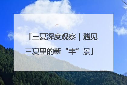三夏深度观察｜遇见三夏里的新“丰”景