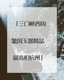三门峡西周虢国玉器精品展亮相杭州
