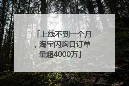 上线不到一个月，淘宝闪购日订单量超4000万