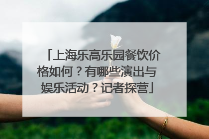 上海乐高乐园餐饮价格如何？有哪些演出与娱乐活动？记者探营