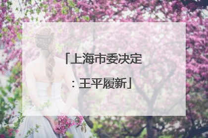 上海市委决定：王平履新