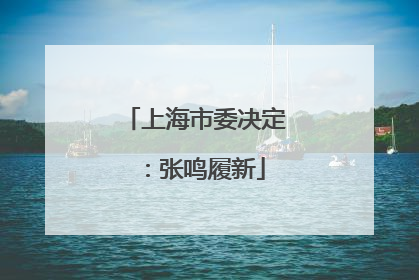 上海市委决定：张鸣履新
