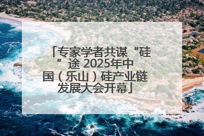 专家学者共谋“硅”途 2025年中国（乐山）硅产业链发展大会开幕