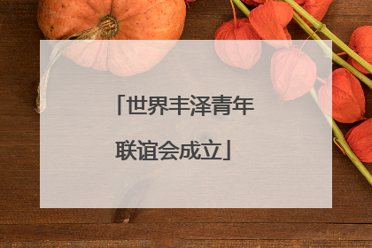 世界丰泽青年联谊会成立