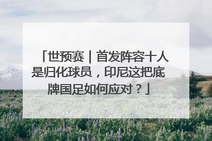 世预赛｜首发阵容十人是归化球员，印尼这把底牌国足如何应对？
