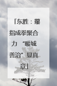 东胜：攥指成拳聚合力 “暖城善治”显真章