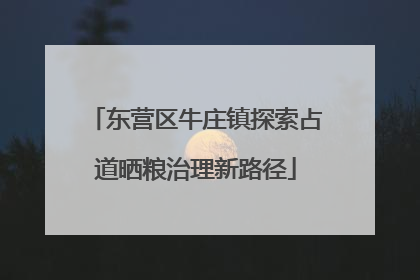 东营区牛庄镇探索占道晒粮治理新路径