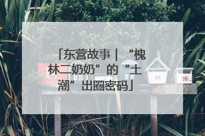 东营故事｜“槐林二奶奶”的“土潮”出圈密码