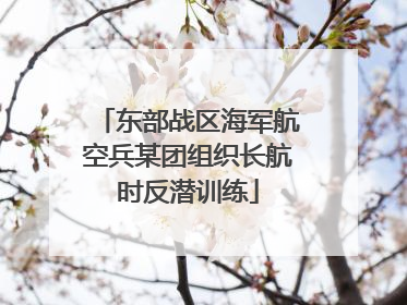 东部战区海军航空兵某团组织长航时反潜训练
