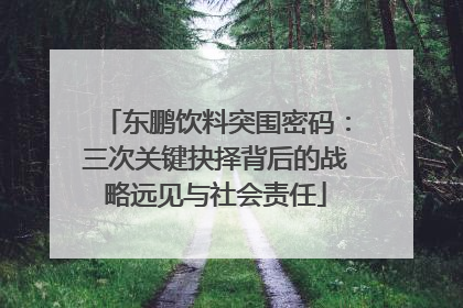 东鹏饮料突围密码：三次关键抉择背后的战略远见与社会责任