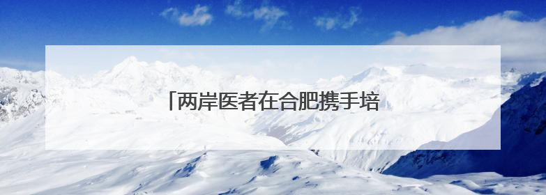 两岸医者在合肥携手培训贵州毕节基层医师