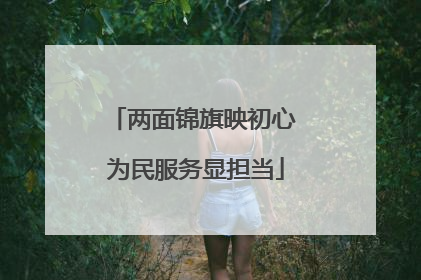 两面锦旗映初心 为民服务显担当