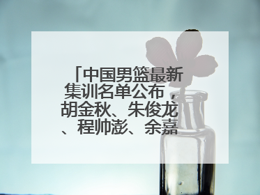 中国男篮最新集训名单公布，胡金秋、朱俊龙、程帅澎、余嘉豪再次入选