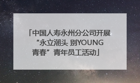 中国人寿永州分公司开展“永立潮头 别YOUNG青春”青年员工活动