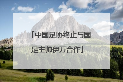 中国足协终止与国足主帅伊万合作