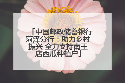 中国邮政储蓄银行菏泽分行：助力乡村振兴 全力支持南王店西瓜种植户