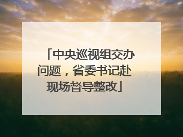 中央巡视组交办问题，省委书记赴现场督导整改