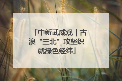 中新武威观｜古浪“三北”攻坚织就绿色经纬