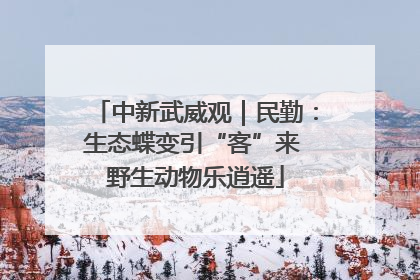 中新武威观｜民勤：生态蝶变引“客”来 野生动物乐逍遥